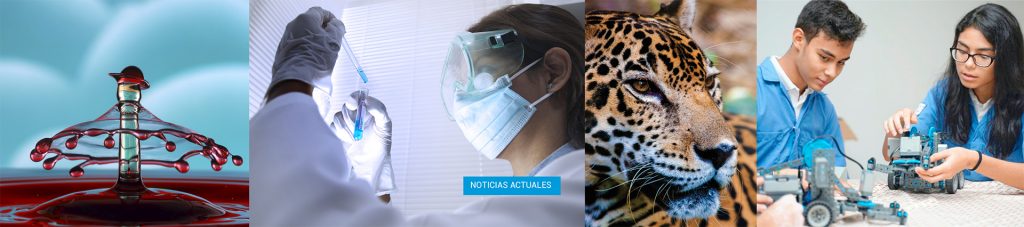 Noticias actuales de ciencia, tecnología e innovación