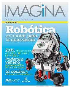 IMAGINA EDICION 1
