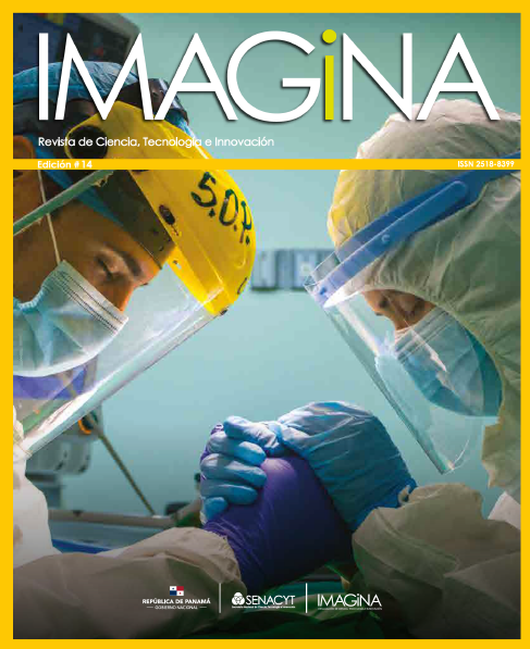 IMAGINA EDICION 14