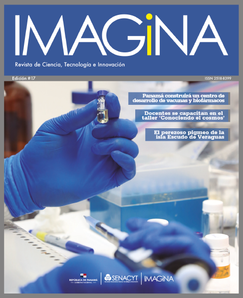 IMAGINA EDICIÓN 17