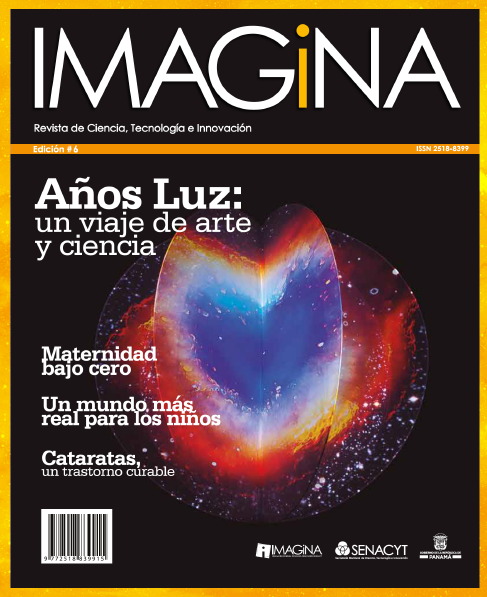 IMAGINA EDICION 6