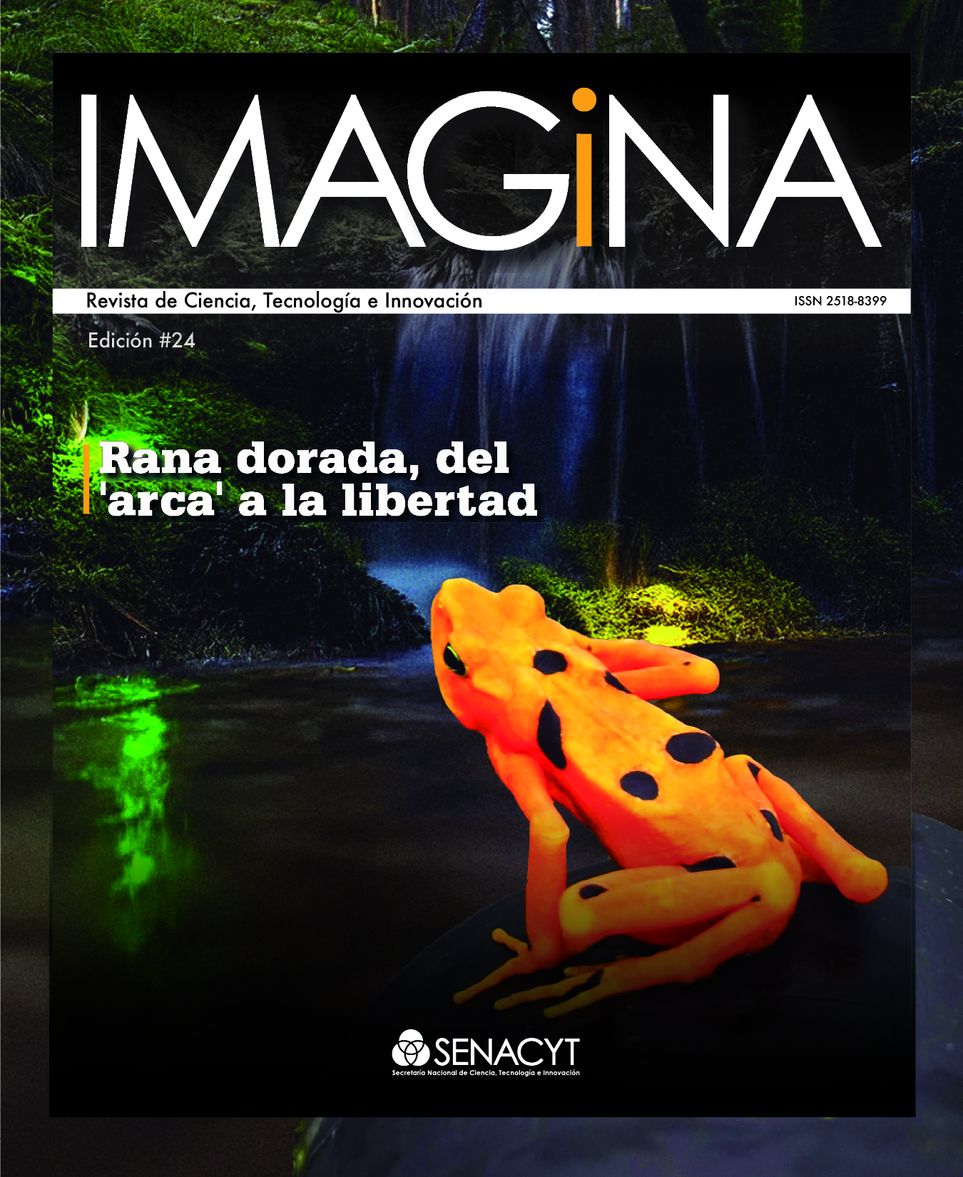 IMAGINA EDICIÓN 24