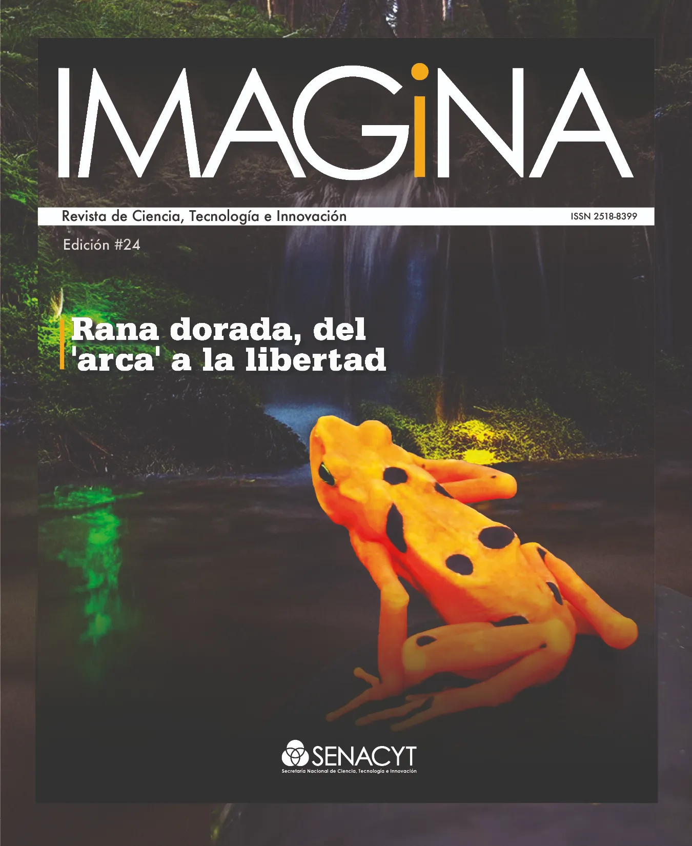 IMAGINA EDICIÓN 24