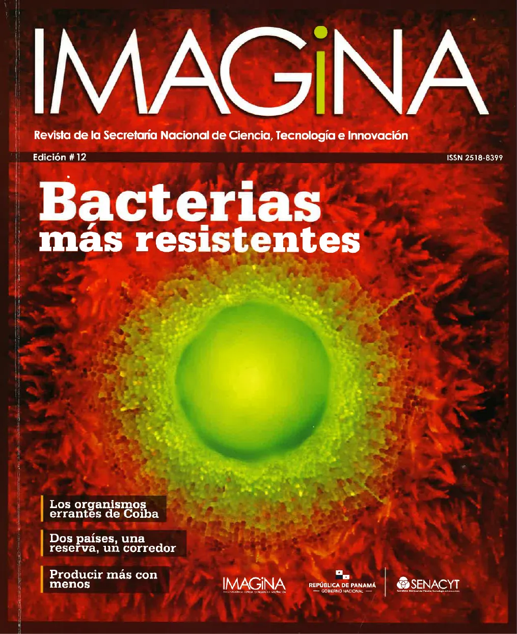 IMAGINA EDICION 12