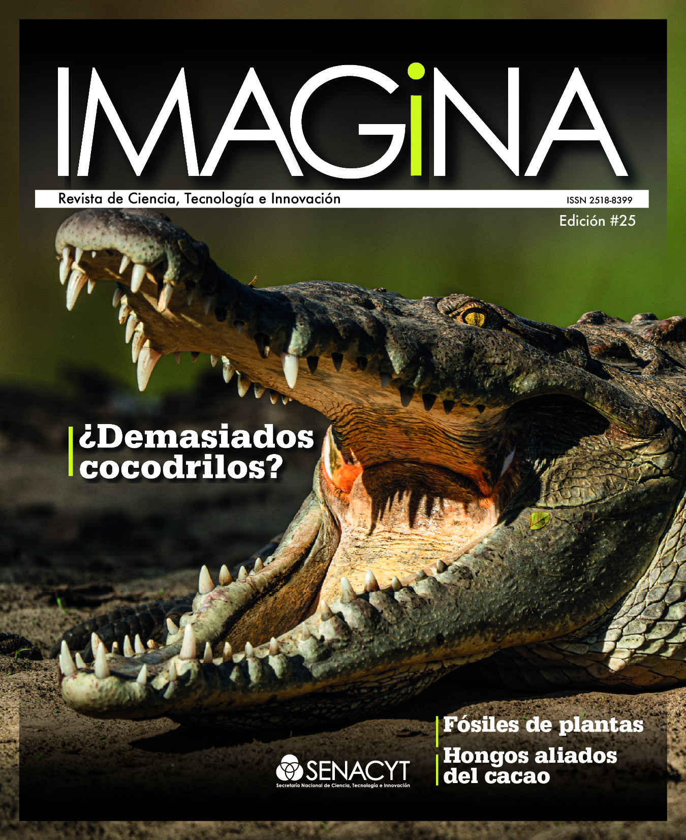 IMAGINA EDICIÓN 25